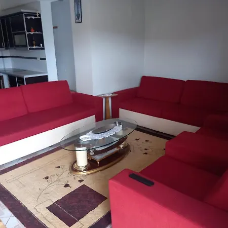 Vila Metgjoni شقة